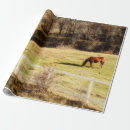 Buscar caballo papel de regalo General y unisex