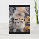 Buscar conejo triste postales Para todos