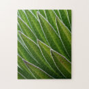 Buscar hoja verde puzzles Abstracto