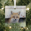 Buscar neonatal adornos Naturaleza