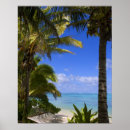 Buscar cook posters Tropical
