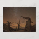 Buscar estrellas fugaces postales Espacio