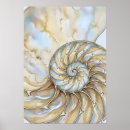 Buscar nautilus arte Naturaleza