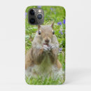 Buscar ardillas iphone fundas Ardilla linda