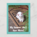 Buscar doormat postales Adorable