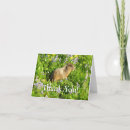 Buscar marmota tarjetas Adorable