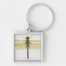 Buscar transparente llaveros Verde