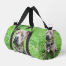 Buscar pedigrí bolsos Perro