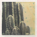 Buscar cactus posavasos Tropical