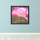 Buscar amapola lienzos Rosa