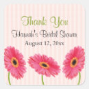 Buscar gerbera rosado postales Maricas
