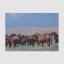 Buscar caballo papel de seda Occidental