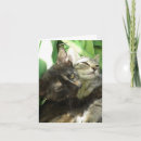 Buscar guiño tarjetas Foto