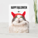 Buscar gato malvado tarjetas Lindo