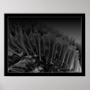 Buscar extraño posters Negro