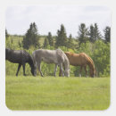 Buscar fila pegatinas Agricultura