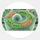 Buscar microscopios pegatinas Biología