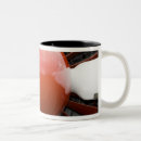 Buscar olympia tazas Propulsor