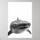 Buscar tiburón negro posters Océano