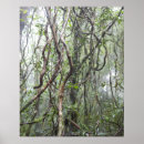 Buscar raíz posters Bosque
