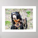 Buscar espectacular posters General y unisex
