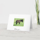 Buscar burros tarjetas Amor