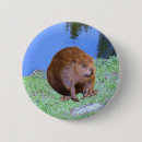 Buscar castor chapas Animal