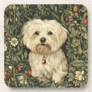 Buscar perro maltés posavasos Perros