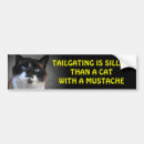 Buscar gato tonto Para ella