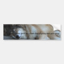 Buscar lobo pegatinas parachoque Animales
