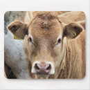 Buscar vacas lindas alfombrillas de raton Terneros