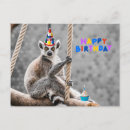 Buscar lemur divertido Animal