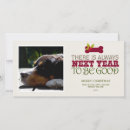 Buscar hueso de perro tarjetas Vacaciones