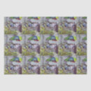 Buscar manzana papel de seda Para ella
