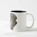 Buscar ciencia natural tazas Opinión del primer