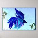 Buscar pescado blanco posters Betta