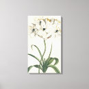 Buscar marfil arte galeria Flores