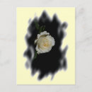 Buscar borde postales Rosas