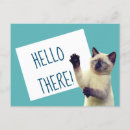 Buscar siamés postales Gatitos