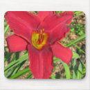 Buscar lilo alfombrillas de raton Flores