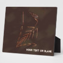 Buscar dinosaurio placas fotograbadas Para todos