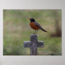 Buscar petirrojo rojo posters Fauna