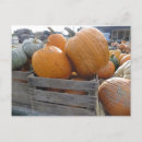 Buscar calzada postales Calabaza