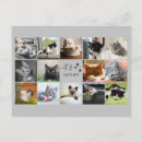 Buscar pinturas del gato postales Lindo