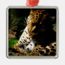 Buscar leopardo adornos Salvaje