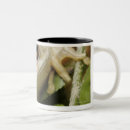 Buscar suráfrica tazas Naturaleza