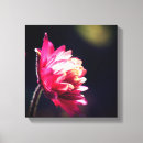 Buscar flor roja lienzos Fotografía