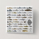 Buscar peces chapas Pez