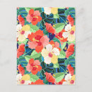 Buscar hibiscus postales Palmera