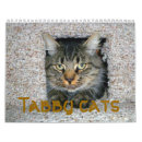 Buscar tabú Gatos